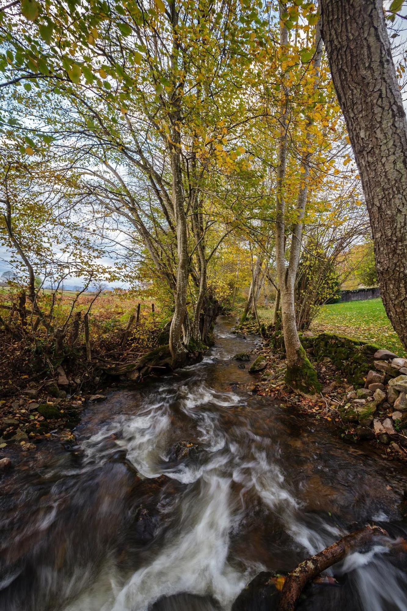Apartmán L'Annexe Du Moulin Renaudiots Autun Exteriér fotografie