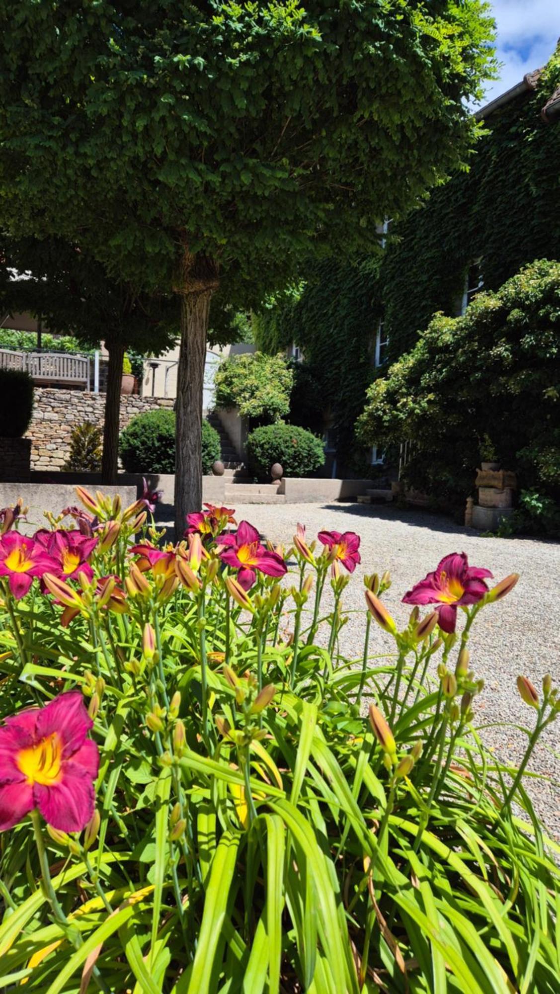Apartmán L'Annexe Du Moulin Renaudiots Autun Exteriér fotografie